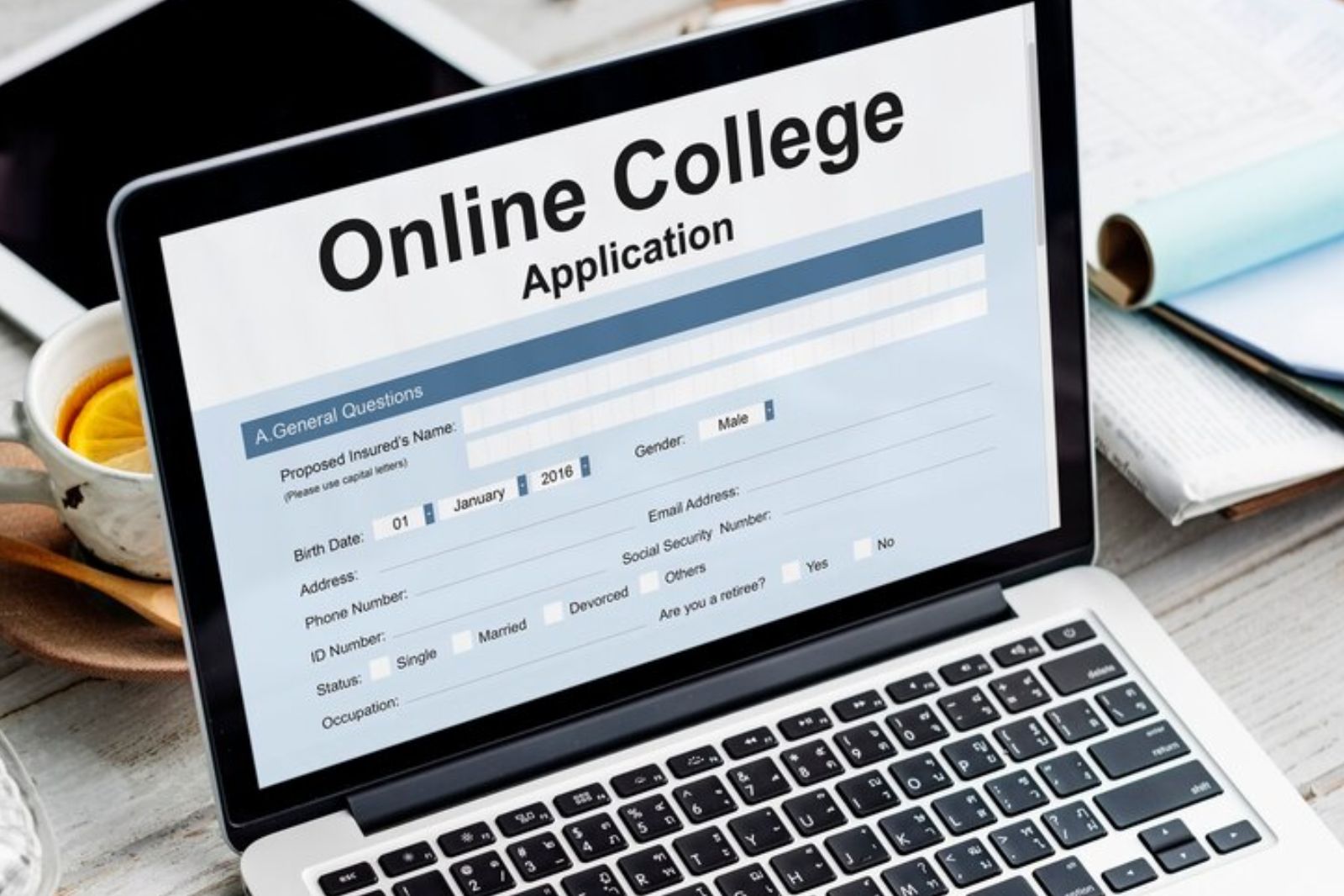 Exploring the Most Popular Courses in European Uni
